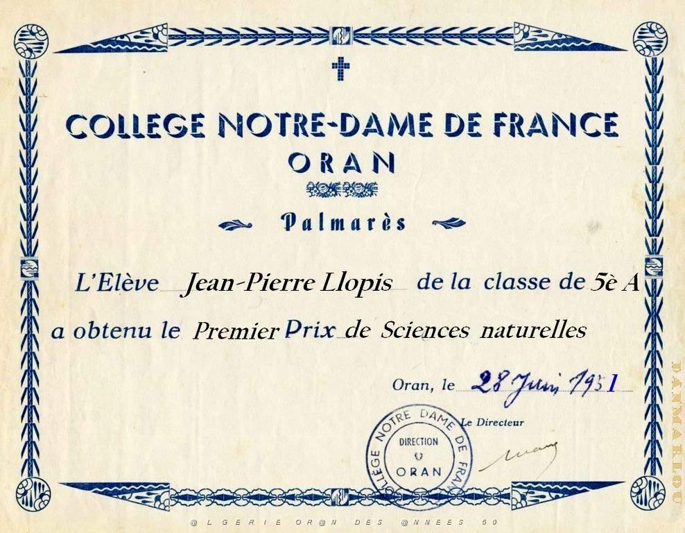 SP ab- 34- NDFrance.jpg